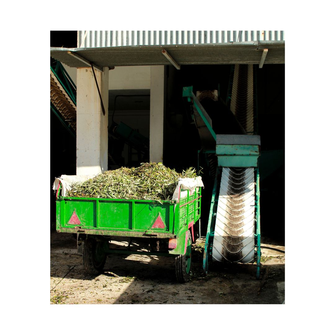 conveyor and bulk materials container for ag production