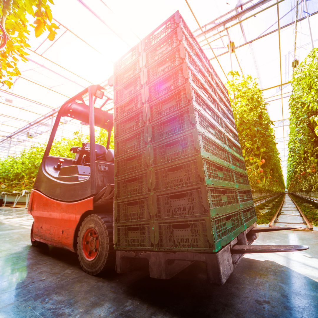 forklift inside a greenhouse moving materials